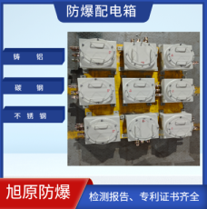 不锈钢防爆箱 仪表照明开关动力配电柜