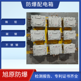 不锈钢防爆箱 仪表照明开关动力配电柜
