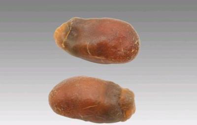 常州猪宝拍卖交易直接收购