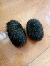 滁縣雞寶收購公司