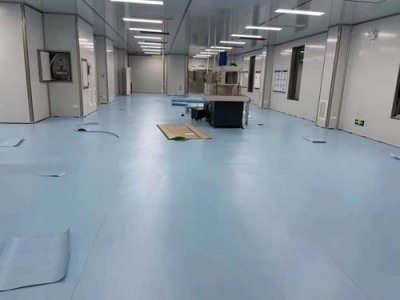 东莞凤岗镇医疗无尘净化车间装修设计