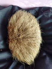 西安正規私下收購牛黃支持多種收款方式