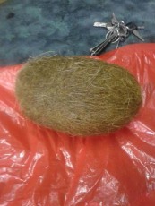 牡丹江私下快速上門收購牛黃多少錢一克