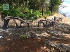 重庆河道护栏专业施工团队