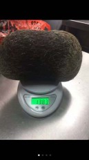 榆林私人收購雞寶報價