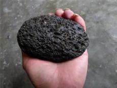 登封猪宝拍卖值多少钱