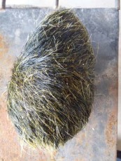 內江個人上門現金收購龍涎香電話號碼