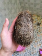 南充長期收購驢寶高價