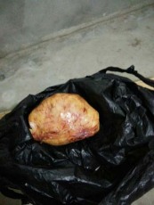 鄭州長期收購龍涎香參考價格