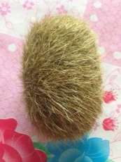 遼源上門收購太歲參考價格