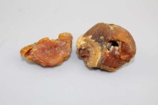 巢湖長期收購牛黃多少錢一克