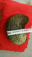 岳陽上門收購狗寶現款現結