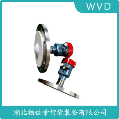 HCGP13-PEDO-2BMN导波雷达物位计