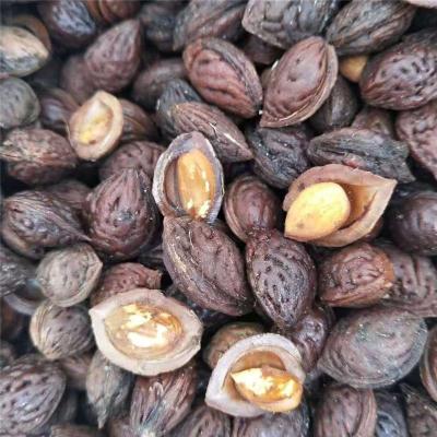 山东省泰安市毛桃种子价格是多少电话