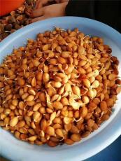 泰安市桃核多少钱一斤如何自己种植