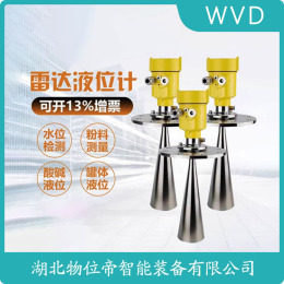 RBRD53缆式导波雷达物位计