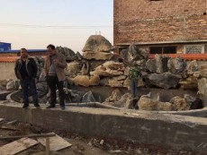 渑池县英石假山专业师傅施工