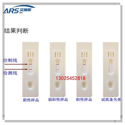 明矾快检试剂盒快速筛查