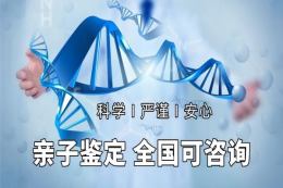 常德市亲子鉴定正规机构收费标准是多少