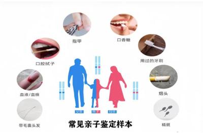 上海长宁办理一次亲子鉴定大概多少钱