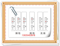 碱性橙检快速检测速测盒性能稳定