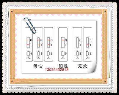 糖精钠快速检测试剂盒发货迅速