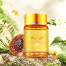 御沁品灵芝孢子油 高含量 厂家供应