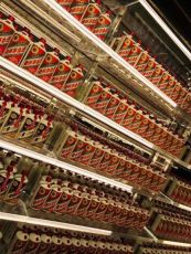 海淀区各种陈年茅台高价回收快速上门-随时咨询