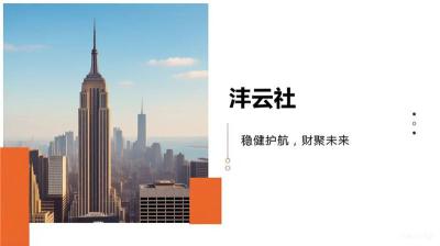 衡水沣云社专注企业财税分析税审税控服务