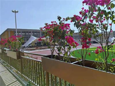 临夏市政道路护栏花箱厂家