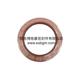 丁晴橡胶骨架油封氟橡胶TC橡胶骨架油封fkm