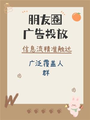 惠州朋友圈广告加粉投放