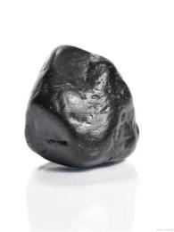 滁县猪宝收购行情走势