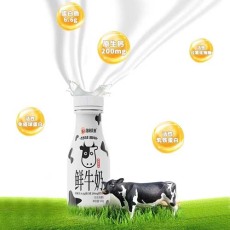 龙岗哪里有鲜牛奶批发零售。收费低