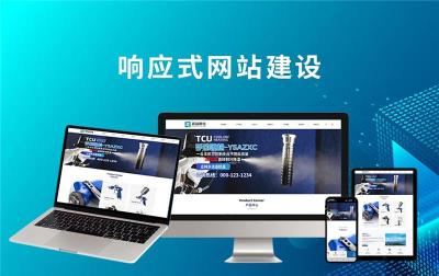 电商专业团队企业网站建设方案平台都有哪些