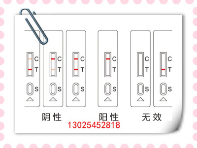 牛奶苯甲酸快检试剂盒操作步骤