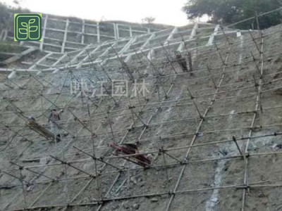 象山区高速公路护坡设计施工