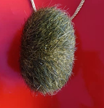 莱芜猪宝鉴定直接收购