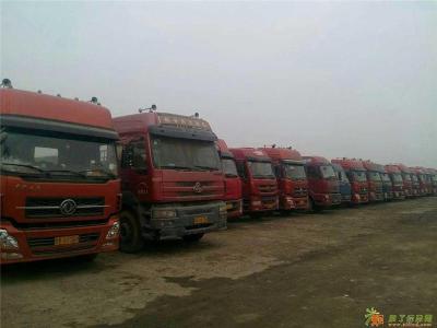 深圳龙华到鹤岗向阳物流货运包车