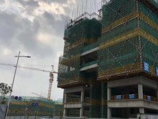 东莞市东城街道扣件租赁费一天多少钱品种多样