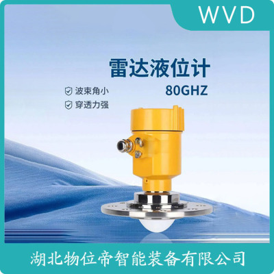 TRD31-IANPLMAVX导波雷达料位计