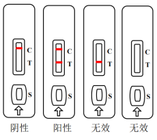 鸡鸭鹅源性成分快速检测试剂盒3连卡抗干扰能力强