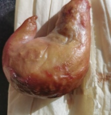 衡阳猪宝交易值多少钱