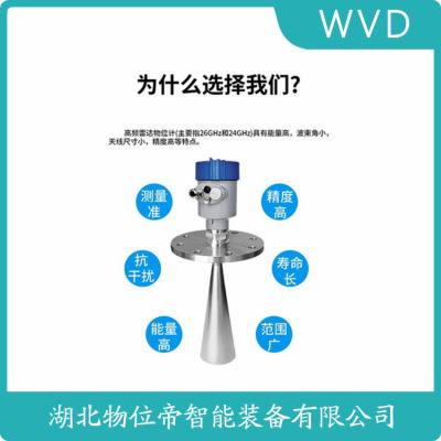 CPLW53-04导波雷达物位计