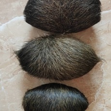 上饶猪宝拍卖鉴定直接收购