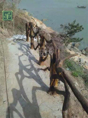 全南县景区仿木栏杆施工方案