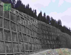 荣县河道护坡设计施工