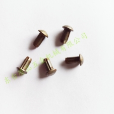 DIN EN ISO8746圆头槽销铆钉