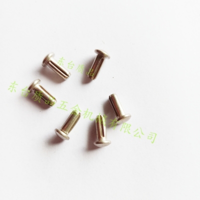 DIN EN ISO8746圆头槽销铆钉