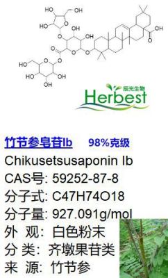 竹节参皂苷Ib 59252-87-8 辰光厂家直发